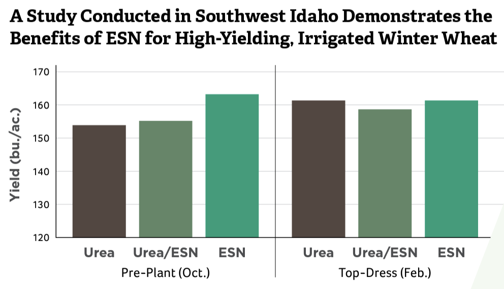 winter wheat esn trial