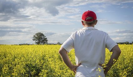 Farmer admires Canola