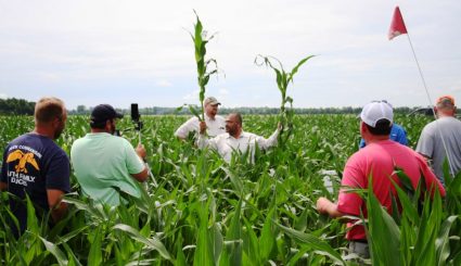 Dr Morteza Mozaffari at Field day in Pollard AR