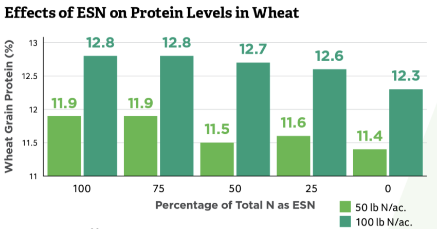 effects of esn on wheat protein