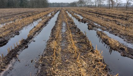 Taming wild spring weather with controlled-release nitrogen