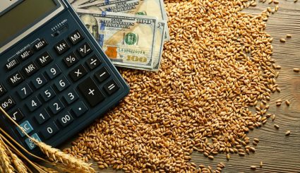 calculator and bank notes sitting on grain kernels demonstrating ROI with ESN