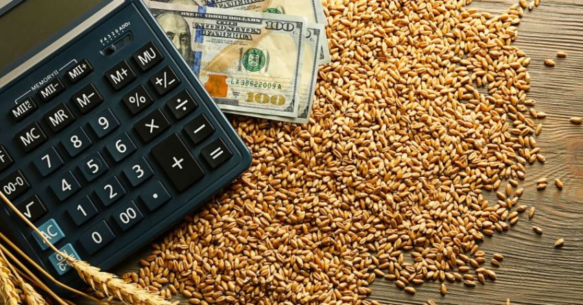 calculator and bank notes sitting on grain kernels demonstrating ROI with ESN