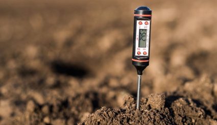 soil testing probe in soil