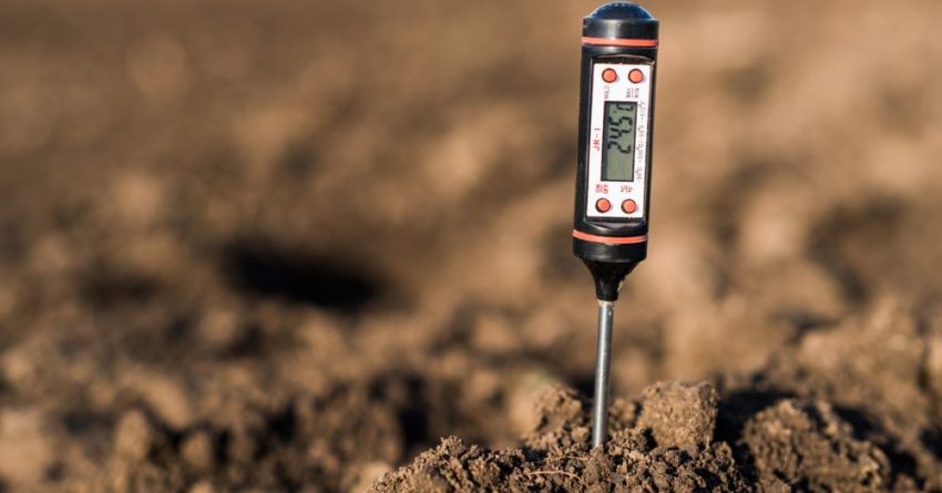 soil testing probe in soil