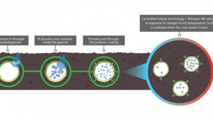 Life Cycle of the ESN Smart Nitrogen Granule