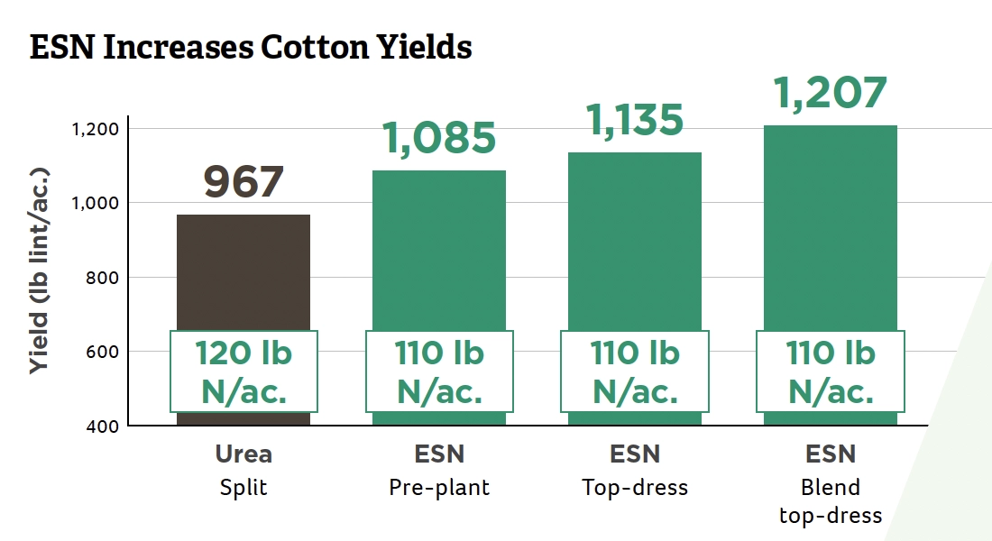 ESN Is the Smart Nitrogen for Top Cotton Yields and Profits