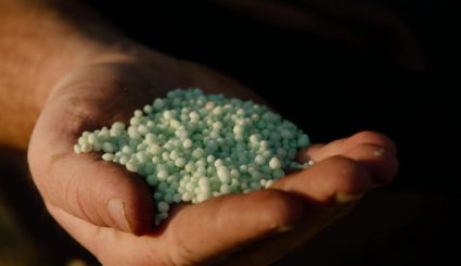 A handful of ESN granules