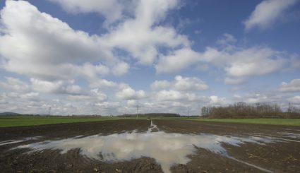 Large puddle on agriculture field prepared for sowing.