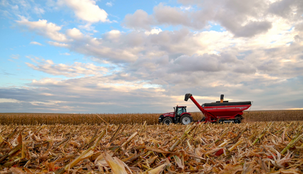 A tractor harvesting a field of corn.