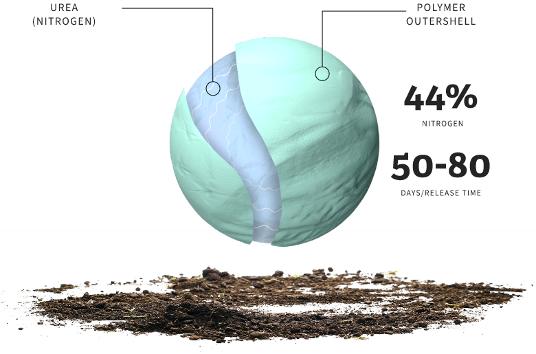 Urea membrane (nitrogen) / polymer outershell | 44% nitrogen / 50-80 days release time