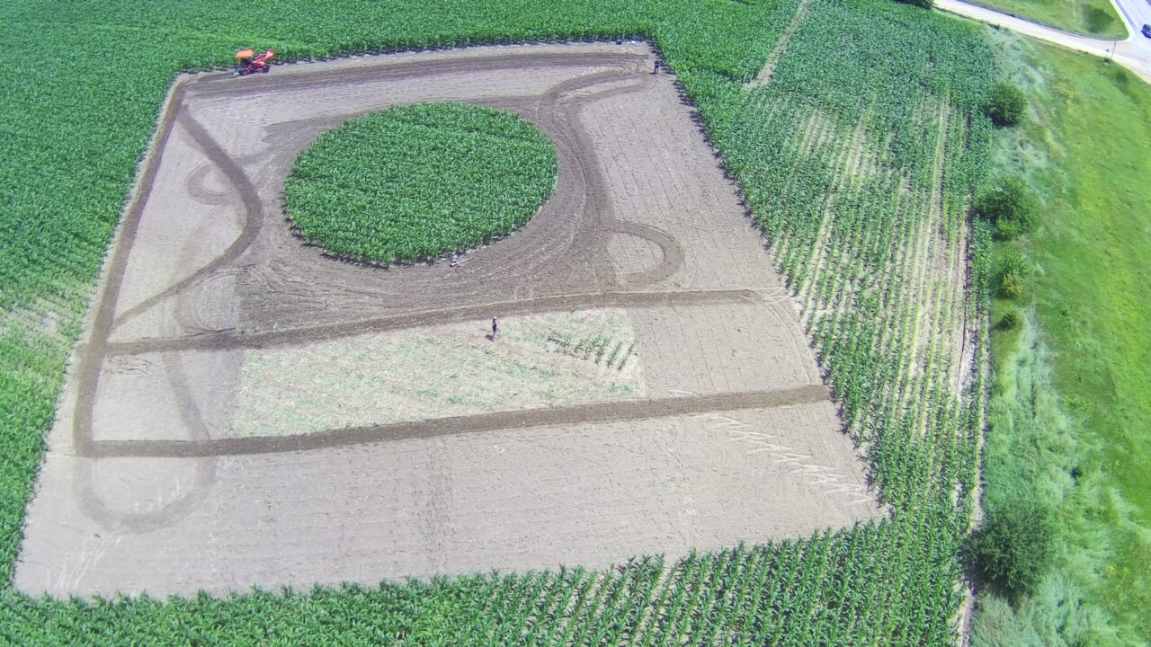 Crop art being created in a farmer's field.