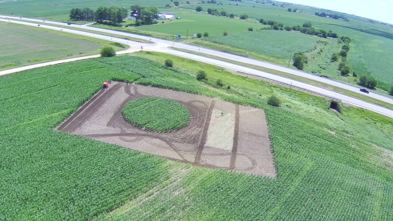 Crop art being created in a farmer's field.