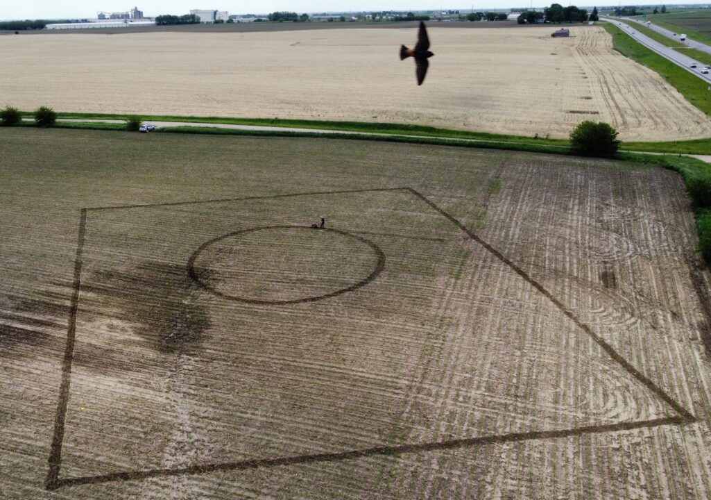 Crop art being created in a farmer's field.