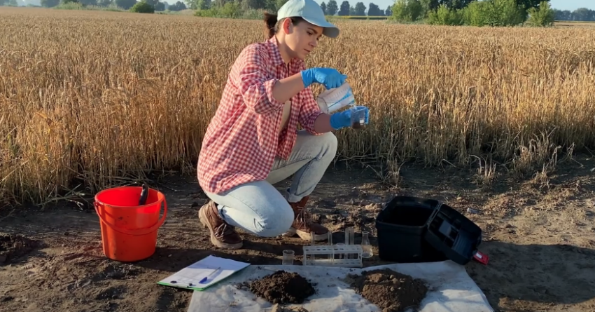 An agronomist taking a soil sample.