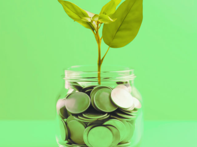 Growing Investment: Yellow Background with Financial Concepts