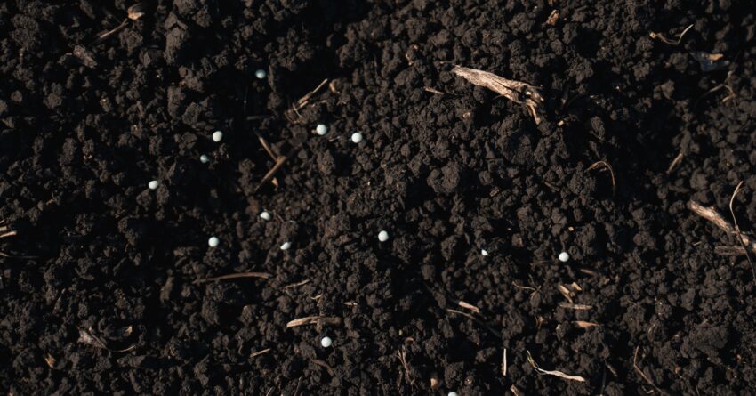 Polymer coated nitrogen fertilizer granules on top of dark, moist soil.