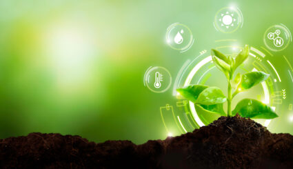 Young plant with cyber display of technological smart farming 4.