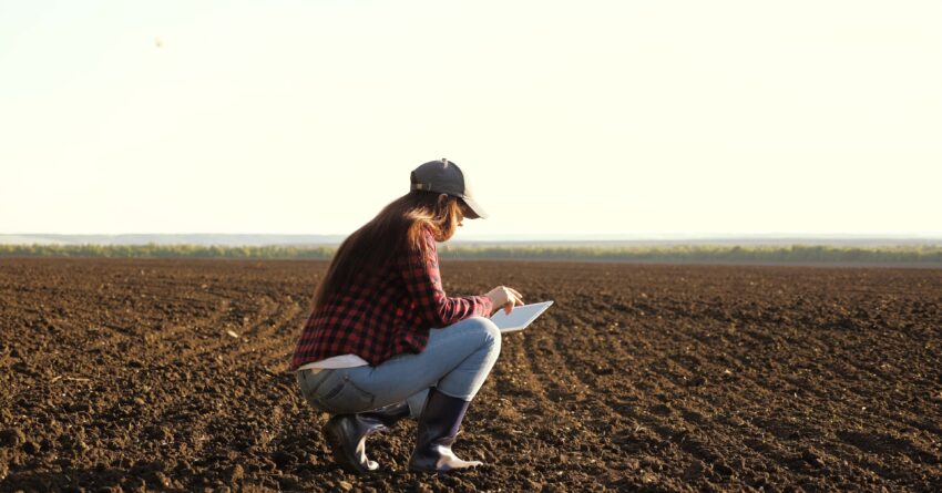 A farmer checks quality of soil before sowing. woman farmer with a tablet in field holds earth in his hands. girl agronomist checks the quality of sowing grain. business woman checks her field