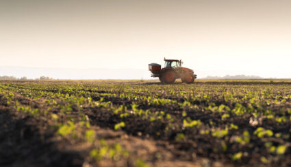 Tractor spreading fertilizers. Transport, agricultural.