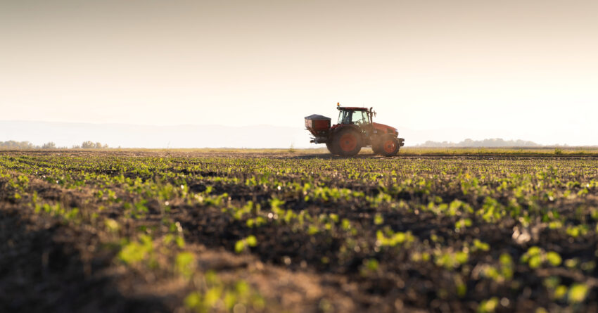 Tractor spreading fertilizers. Transport, agricultural.