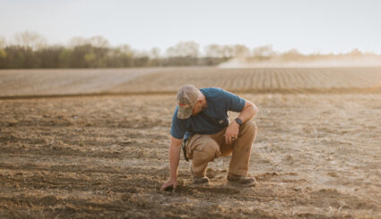 farmer touching and examining soil in farm field