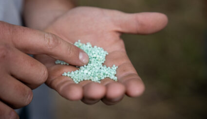 Hand holding small green fertilizer granules and pointing to the fertilizer