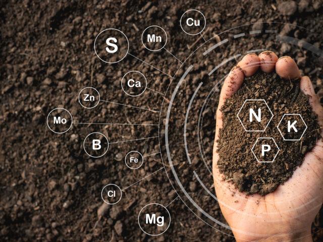Loamy soil that is rich in man's hands and has iconic technology about soil nutrients that are essential to cultivation.