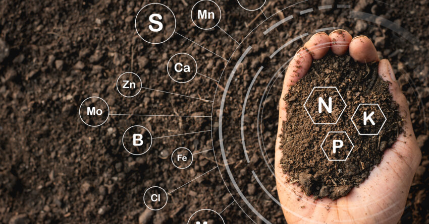 Loamy soil that is rich in man's hands and has iconic technology about soil nutrients that are essential to cultivation.