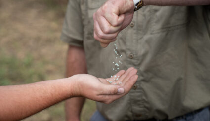 ESN granules pouring from one hand to another.