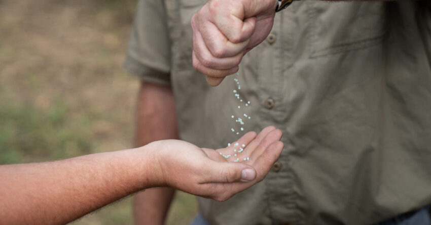 ESN granules pouring from one hand to another.