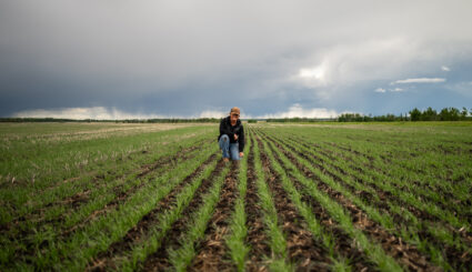 Female farmer inspecting young crop rows in a field to assess nitrogen use efficiency and early plant growth.