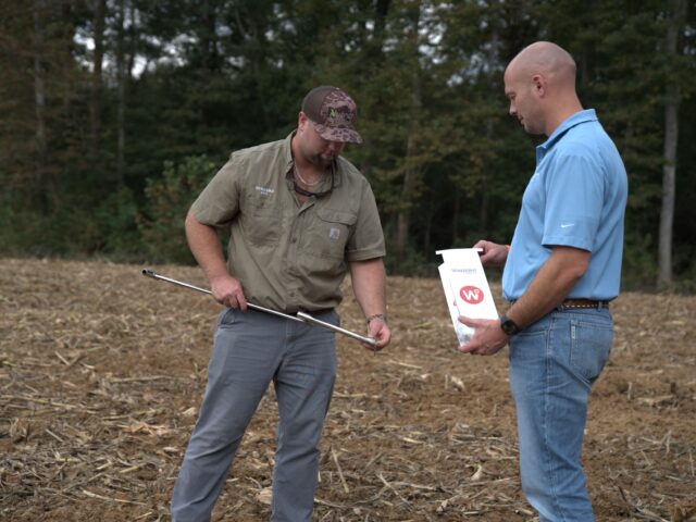 Pulling a soil sample for biological soil testing.